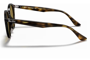 Ray-Ban 2180 710/73 49 Unisex Güneş Gözlüğü