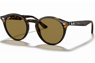 Ray-Ban 2180 710/73 49 Unisex Güneş Gözlüğü