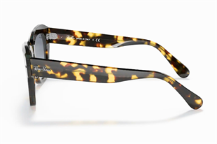 Ray-Ban 2186 133286 52 Kadın Güneş Gözlüğü