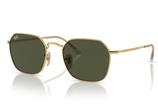 Ray-Ban 3694 001/31 55 Unisex Güneş Gözlüğü