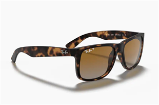 Ray-Ban 4165 865/T5 55 Unisex Güneş Gözlüğü