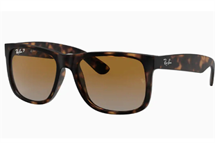 Ray-Ban 4165 865/T5 55 Unisex Güneş Gözlüğü