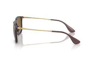 Ray-Ban 4187 6593T5 54 Unisex Güneş Gözlüğü