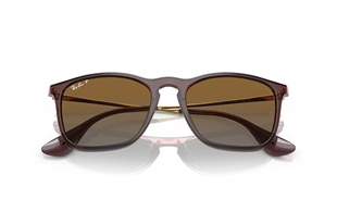 Ray-Ban 4187 6593T5 54 Unisex Güneş Gözlüğü