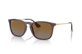 Ray-Ban 4187 6593T5 54 Unisex Güneş Gözlüğü