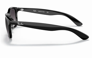 Ray-Ban 4202 601/8G 55 Unisex Güneş Gözlüğü