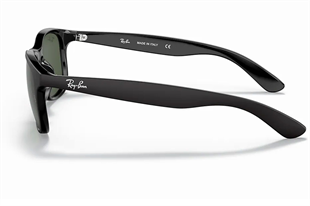 Ray-Ban 4202 606971 55 Unisex Güneş Gözlüğü