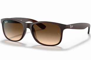 Ray-Ban 4202 607313 55 Unisex Güneş Gözlüğü