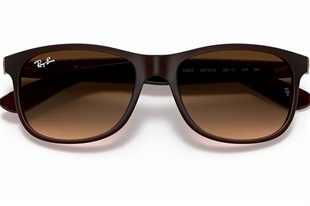 Ray-Ban 4202 607313 55 Unisex Güneş Gözlüğü