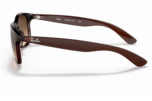 Ray-Ban 4202 607313 55 Unisex Güneş Gözlüğü