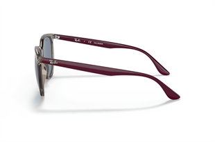 Ray-Ban 4378 65722V 54 Kadın Güneş Gözlüğü