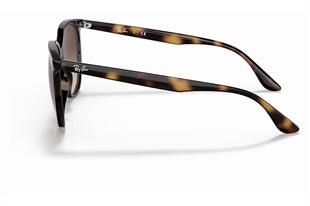 Ray-Ban 4378 710/13 54 Kadın Güneş Gözlüğü
