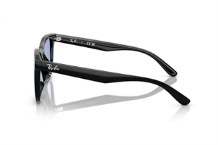 Ray-Ban 4420 601/80 65 Unisex Güneş Gözlüğü
