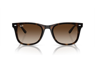 Ray-Ban 4420 710/13 65 Unisex Güneş Gözlüğü
