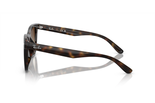 Ray-Ban 4420 710/13 65 Unisex Güneş Gözlüğü