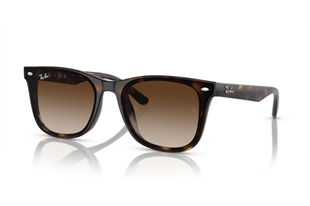 Ray-Ban 4420 710/13 65 Unisex Güneş Gözlüğü