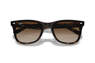 Ray-Ban 4420 710/13 65 Unisex Güneş Gözlüğü