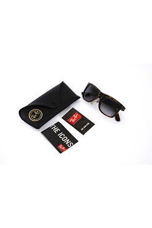 Ray-Ban 4165 710/8G 54-16 
