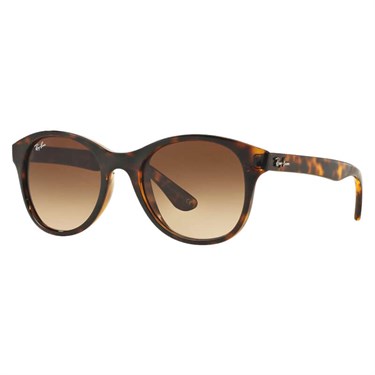 Ray-Ban 4203 710/13 51-20 
