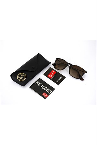 Ray-Ban 4221 865/13 50-19 