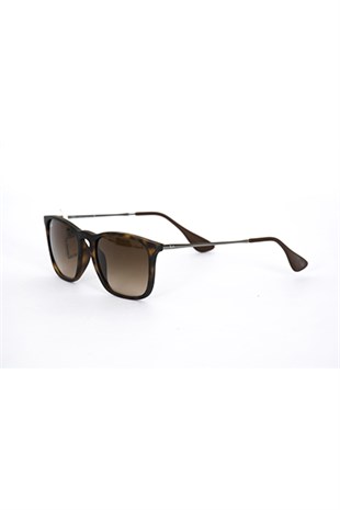 Ray-Ban 4221 865/13 50-19 