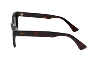 Redberry RB-8804 C1 53-18-145 Kadın Güneş Gözlüğü