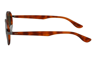 Redberry SANTE FE C5 48-21 Unisex Güneş Gözlüğü