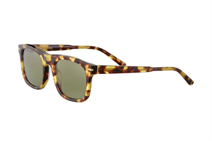 Serengeti CHARLTON SS576005 52 Unisex Güneş Gözlüğü