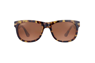 Serengeti FOYT LARGE SS550005