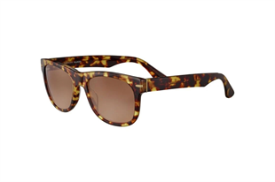 Serengeti FOYT LARGE SS550005
