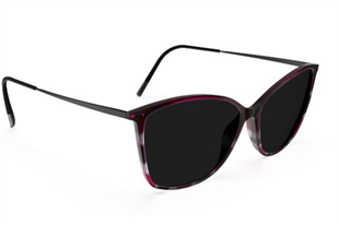 Silhouette BADEN 3192/75 0110 Kadın Güneş Gözlüğü