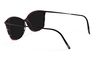Silhouette BADEN 3192/75 0110 Kadın Güneş Gözlüğü
