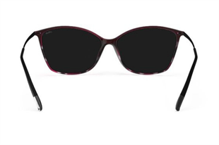 Silhouette BADEN 3192/75 0110 Kadın Güneş Gözlüğü