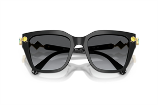 Swarovski 0SK6041 1001T3 53