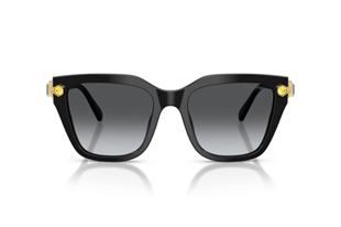 Swarovski 0SK6041 1001T3 53