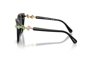 Swarovski 0SK6041 1001T3 53