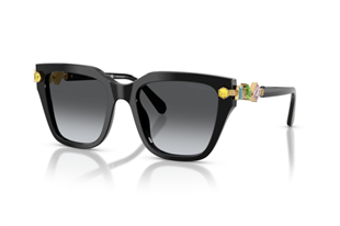 Swarovski 0SK6041 1001T3 53