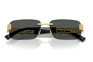 Versace 0VE2298 100287 58