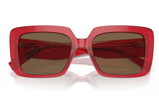 Versace 4384B 528073 54 Kadın Güneş Gözlüğü