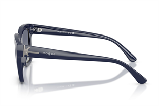 Vogue 0VO5690S 22884L 49