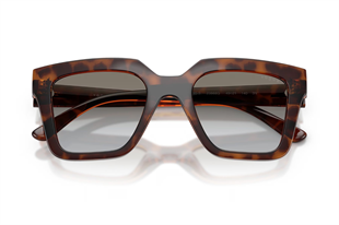 Vogue 0VO5690S 23868G 49