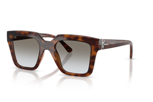 Vogue 0VO5690S 23868G 49