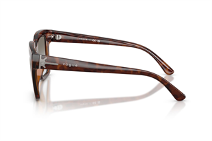 Vogue 0VO5690S 23868G 49