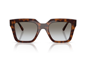 Vogue 0VO5690S 23868G 49