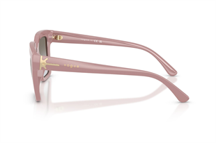 Vogue 0VO5690S 307411 49