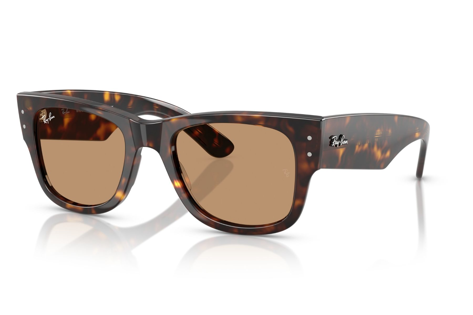 Ray-Ban 0RB0840S 902/53 51
