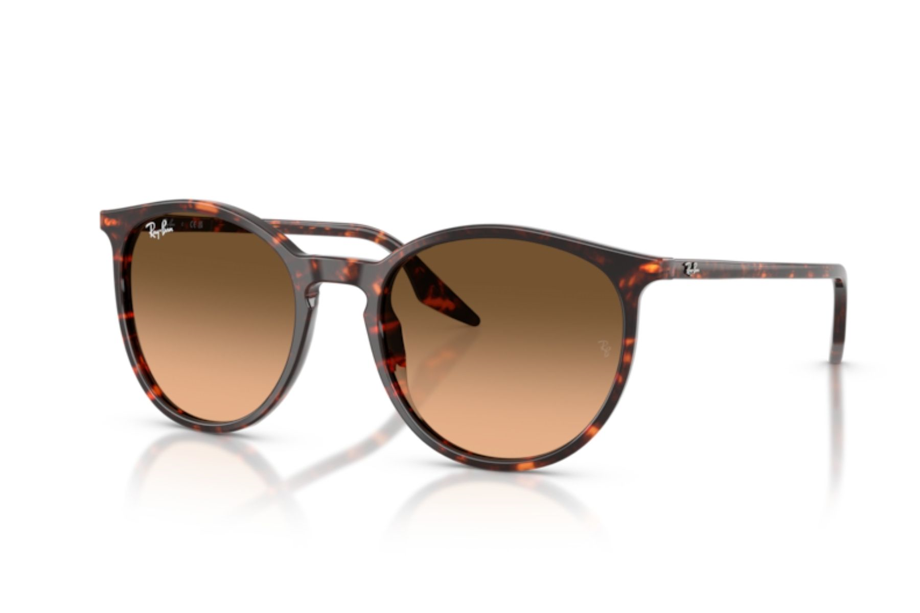 Ray-Ban 0RB2204 14293B 54 Unisex Güneş Gözlüğü