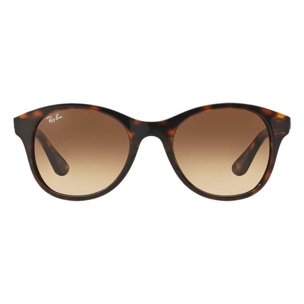 Ray-Ban RB 4203 710/13 51-20 Kadın Güneş Gözlüğü