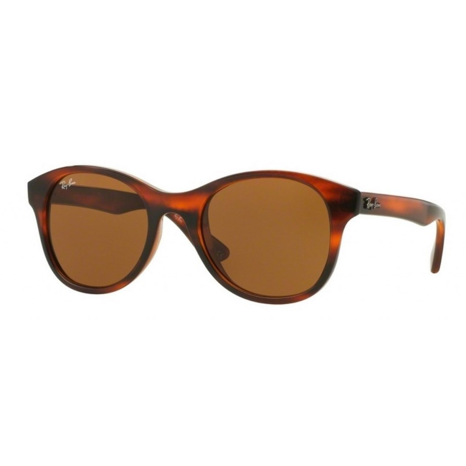 RAY-BAN  VISTA 4203 820/73 51-20 Unisex Güneş Gözlüğü