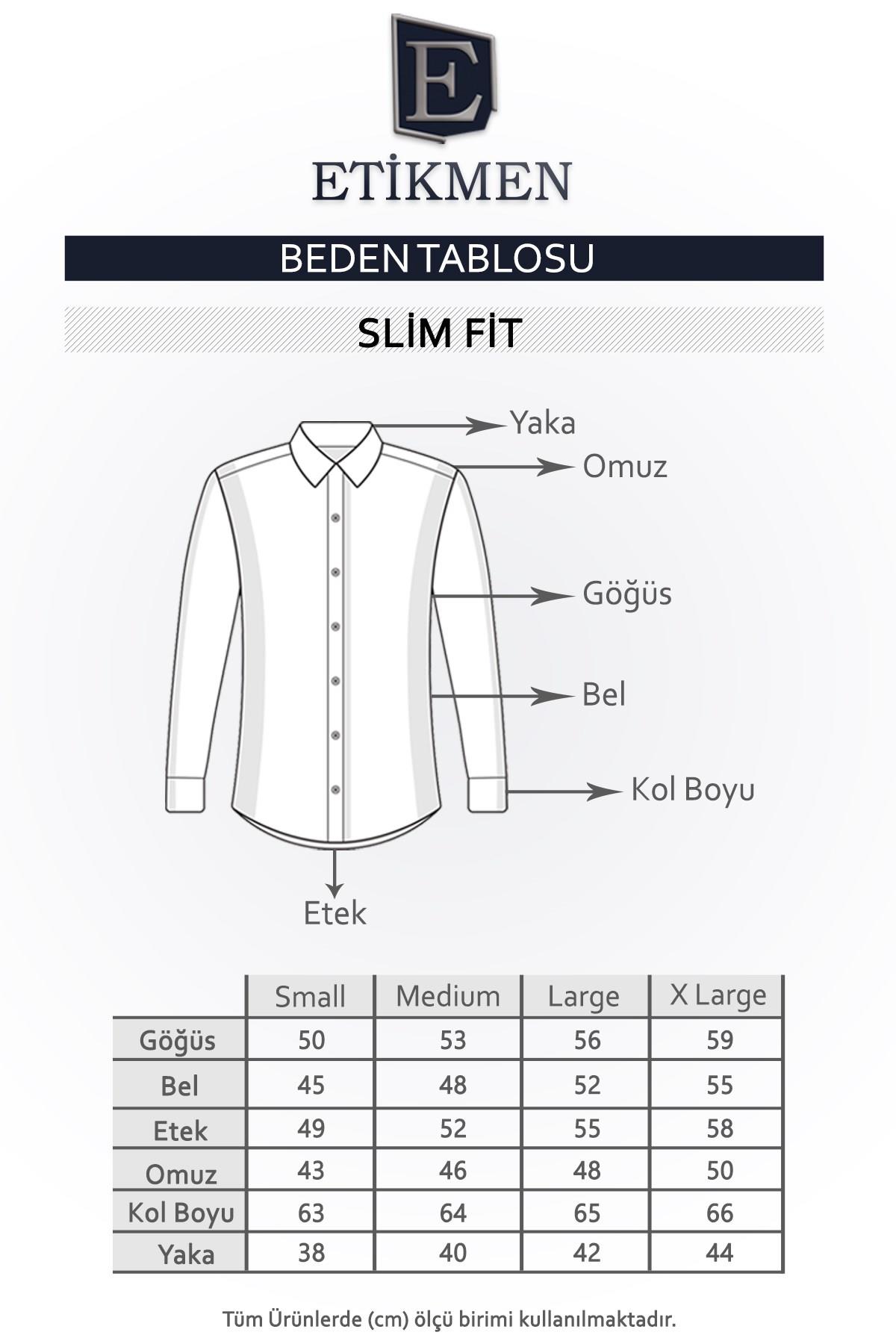 Panolu Gri Yeşil Çizgili Keten Slimfit Erkek Gömlek · 9